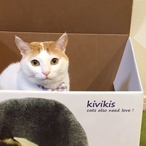 Meet your Posher, Nathan